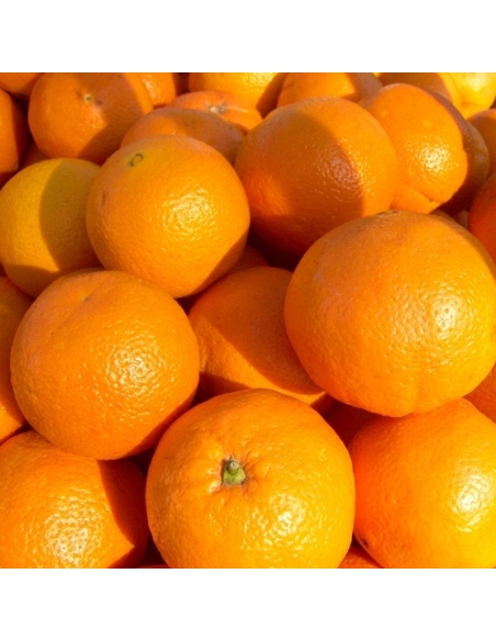 Arance Vaniglia di Muravera