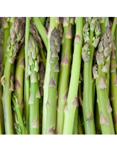 Asparagi sardi