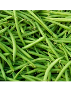 fagiolini_sardi