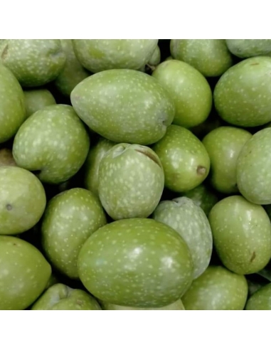 olive sarde