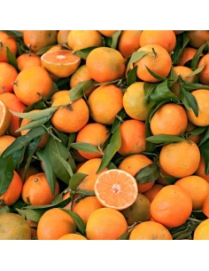 clementine