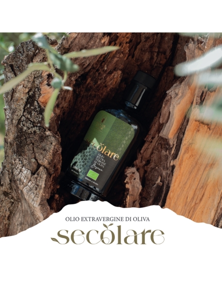 Olio Extravergine di Oliva Secolare