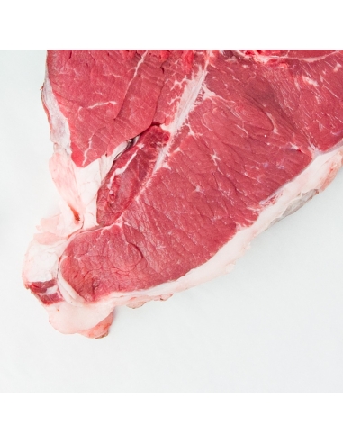 Fiorentina di Bovino Sardo