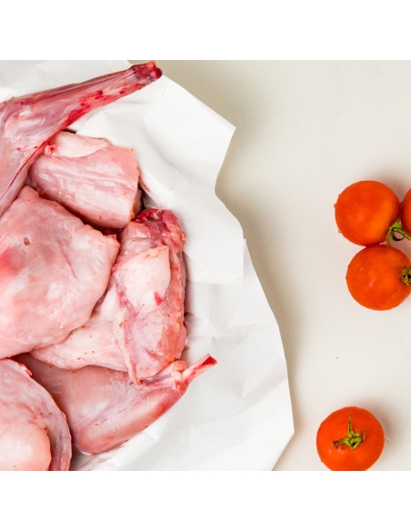 coniglio sardo  coniglio sardo